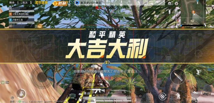 和平精英ios免费透视 - 苹果端透视挂稳定上线